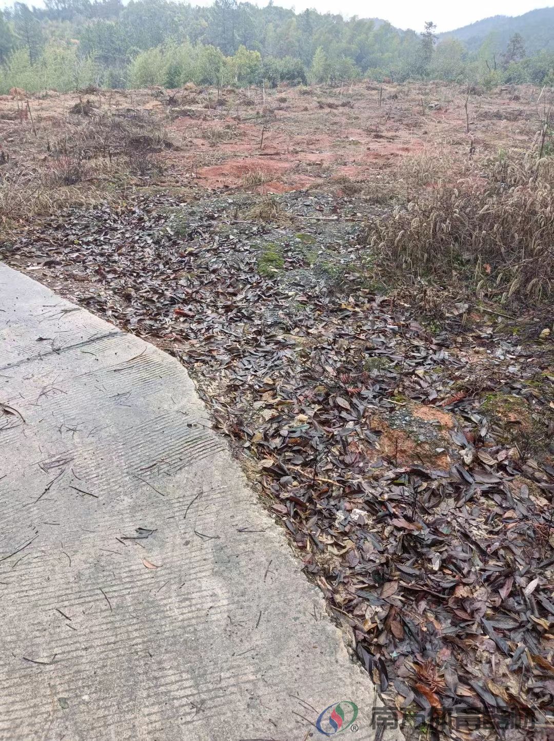 湖南省湘潭市雨湖区鹤岭镇双丰村委会双丰村冷冲组全民健身路径工程